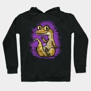 Cute Gecko Hoodie